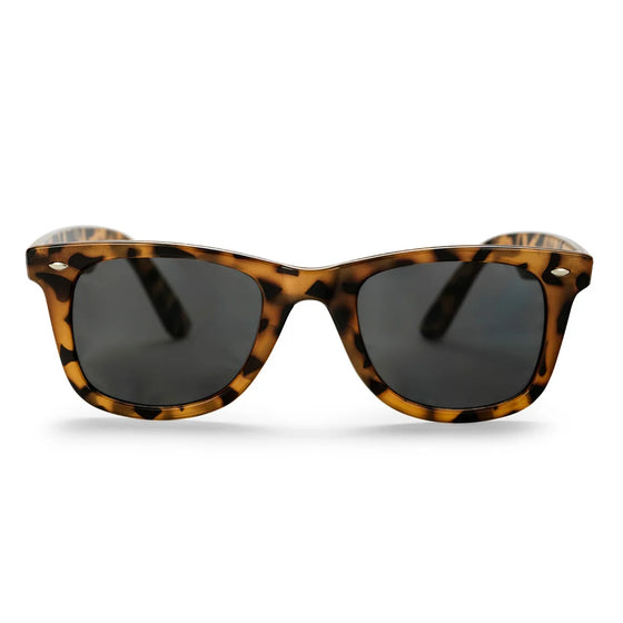CHPO Noway turtle /brown sunglasses